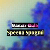 Speena Spogmi