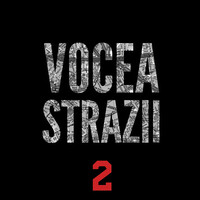 Vocea Strazii 2