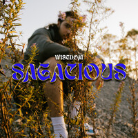 Sagacious