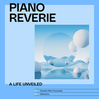 Piano Reverie: A Life Unveiled