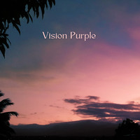 Vision Purple, Vol. 1