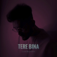 Tere Bina