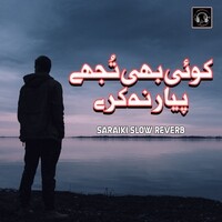 Koi Bhe Tujhay Peyar Na Karay (Slow Reverb)