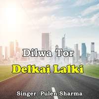 Dilwa Tor Delkai Lalki