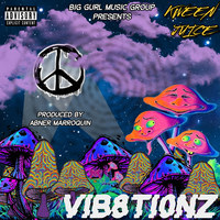 Vib8tionz