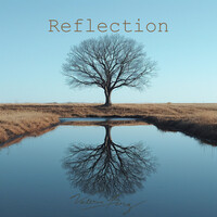Reflection