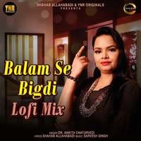 Balam Se Bigdi LoFi Mix