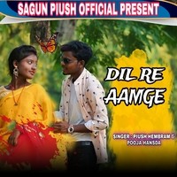 Dil Re Aamge