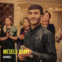 Mesele Bamy