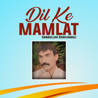 Dil Ke Mamlat