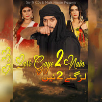 Larr Gaye 2 Nain (Original Motion Picture Soundtrack)