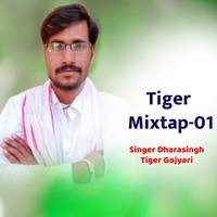 Tiger Mixtap-01