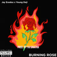 Burning Rose