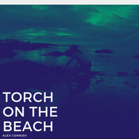 Torch on the Beach