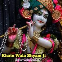 Khatu Wala Shyam Ji