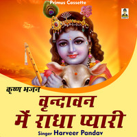 Vrndavan mein radha pyari