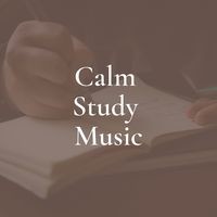 Calm Study Music