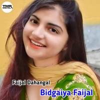 Bidgaiya Faijal