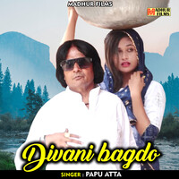 Deewani bagdo