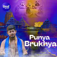 Punya Brukhya