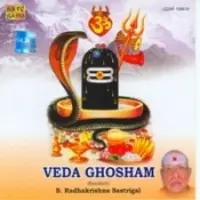 Veda Ghosham By Radhakrishna Sastrigal