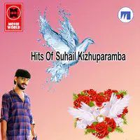 Hits Of Suhail Keezhumparambu
