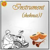 Instrument (Shehnai)1