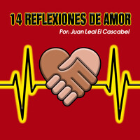 14 Reflexiones De Amor