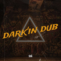 dark'in dub