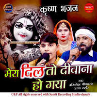 holi songs mohan rathor mp3 collection download