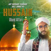 Aap Sardaare Shabaabe Ahle Jannat Ho Hussain