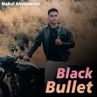 Black Bullet