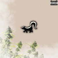 Skunk