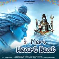 Meri Heart Beat