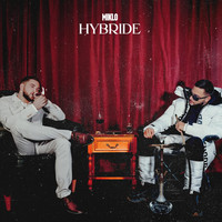 Hybride