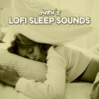 Guru's Lofi Sleep Sounds