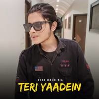 Teri Yaadein