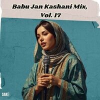 Babu Jan Kashani Mix, Vol. 17