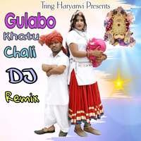 Gulabo Khatu Chali (Dj Remix)