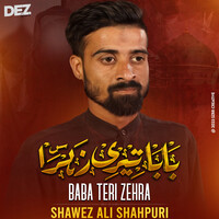 Baba Teri Zehra