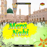 Mera Nabi