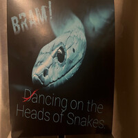 Dancing on the Heads of Snakes