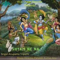 Shyam Ne Na