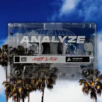 Analyze