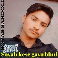 Soyab kese Gayo Bhul
