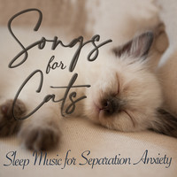 Songs for Cats - Sleep Music for Separation Anxiety