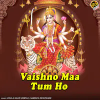 Vaishno Maa Tum Ho