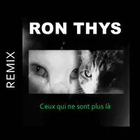 Ceux qui ne sont plus là (Remix)