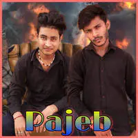 Pajeb