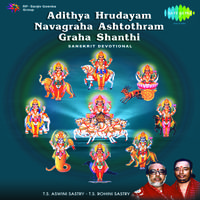 Adithya Hrudayam, Navagraha Ashtotharam And Graha Santi